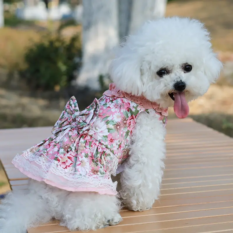 summer dog outfits - TikTok Shop summer dog outfits - TikTok Shop