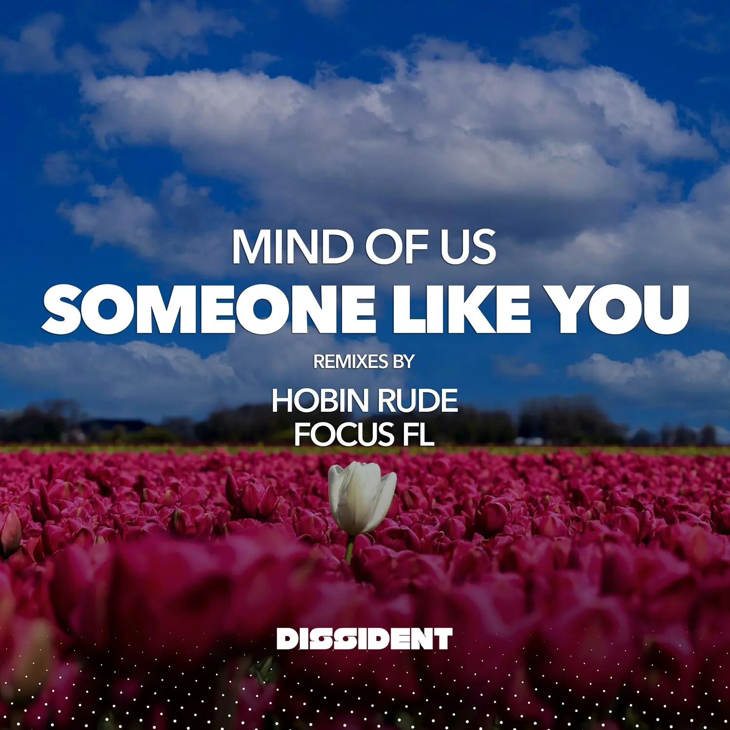 Mind of Us - Someone Like You (Streaming Version)  [COMPACT DISC - CD]