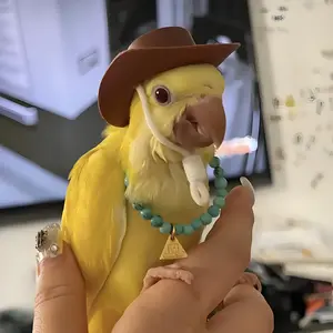 Super Cute Western Cowboy Hat for Pets |   Hamster Hat Accessory - Perfect for Parrots, Chinchillas, Lizards, Teddy Bears & Frogs – Creative Costume Prop with Golden Bear/Chick Design