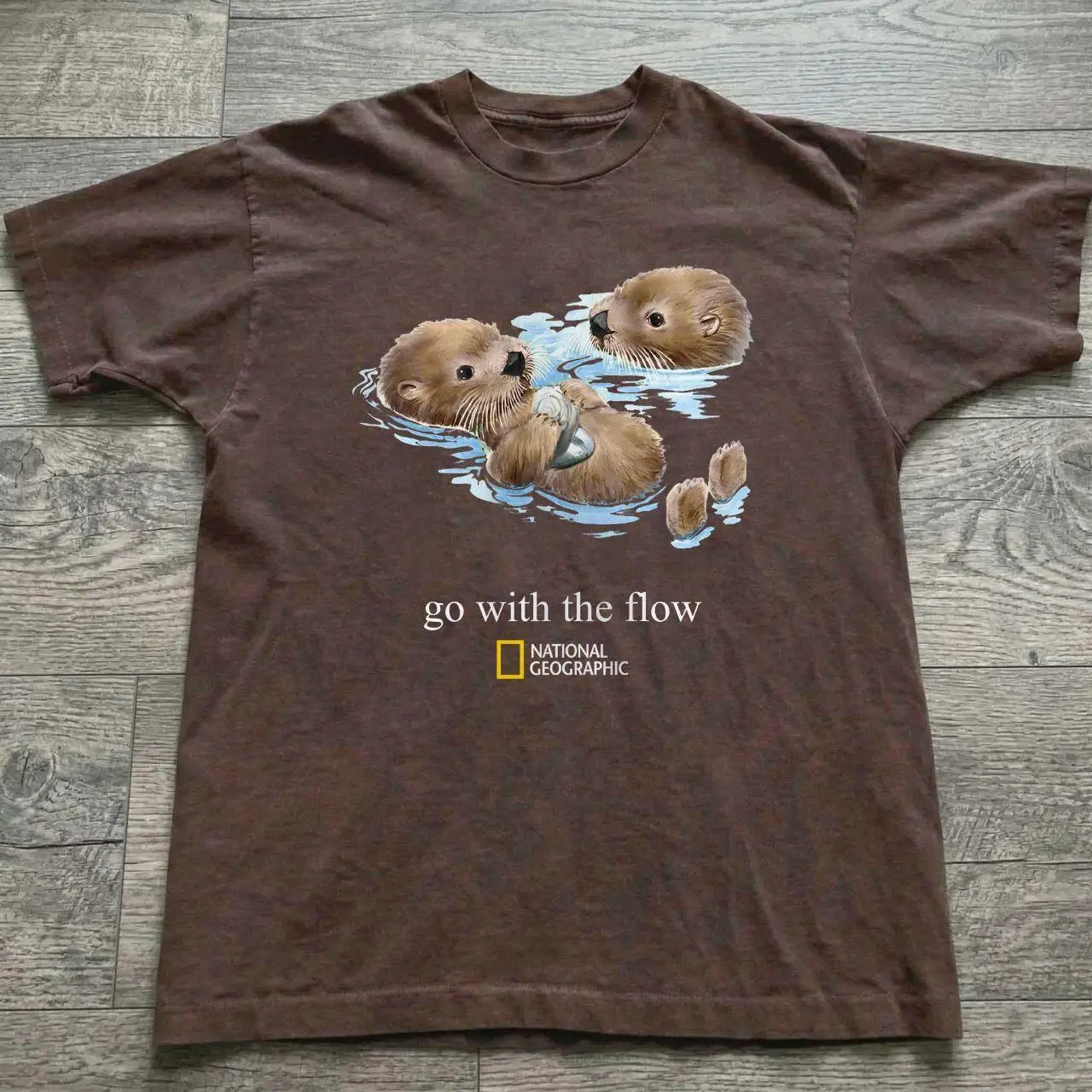 Gildan Dark Brown National Geographic Go With the Flow Otters Graphic Tee, Youth shirt, unisex men, Women