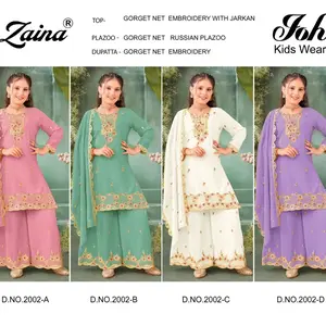 Georgette Net embroidery with jarkan
