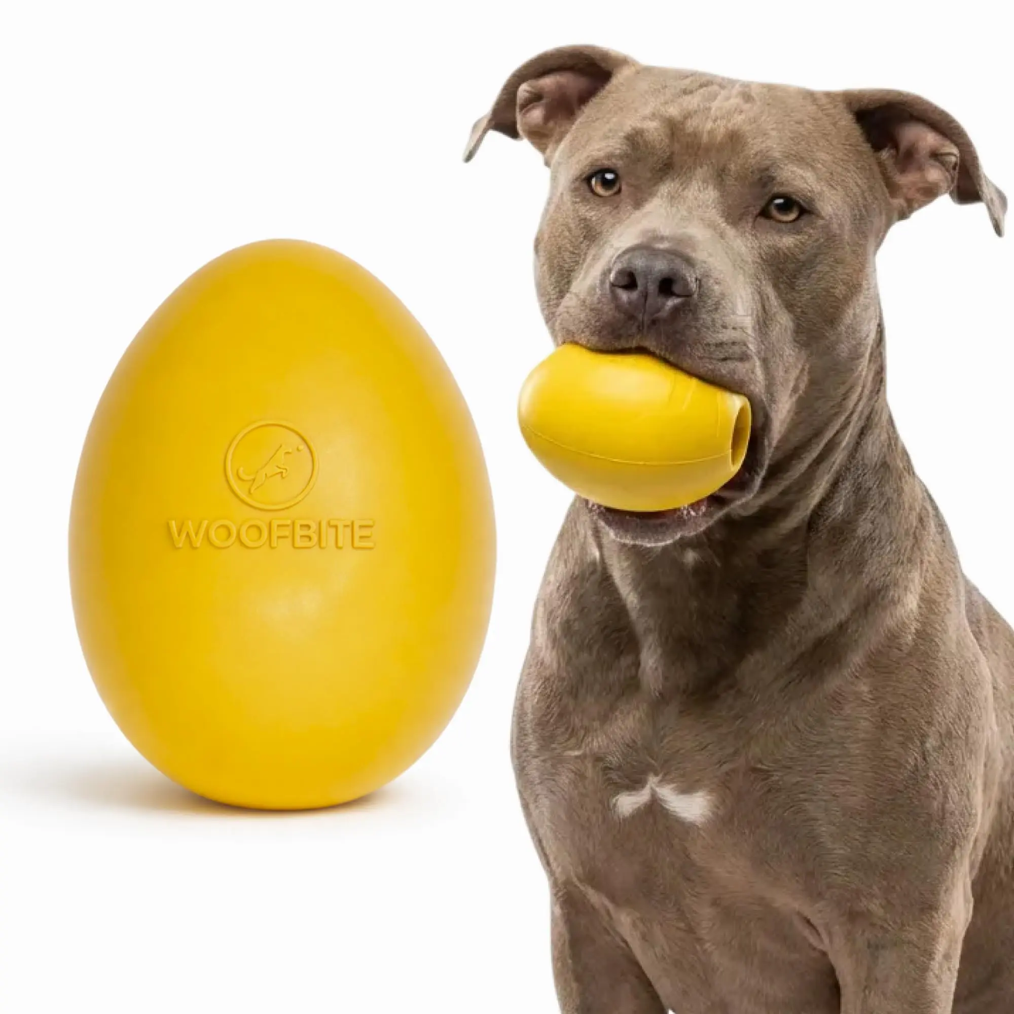 Mega Egg