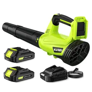 Electric Leaf Blower Cordless with 2 Batteries and Charger, 2 Speed Mode, Violent Turbo Fan, for Lawn Care, Blowing Leaves, Dust, Snow, Gravel for Patio, Yard, Green