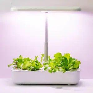 Hydroponic Planter