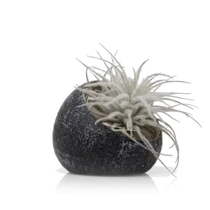 Terrarium Koski Ceramic Air Plant Holder