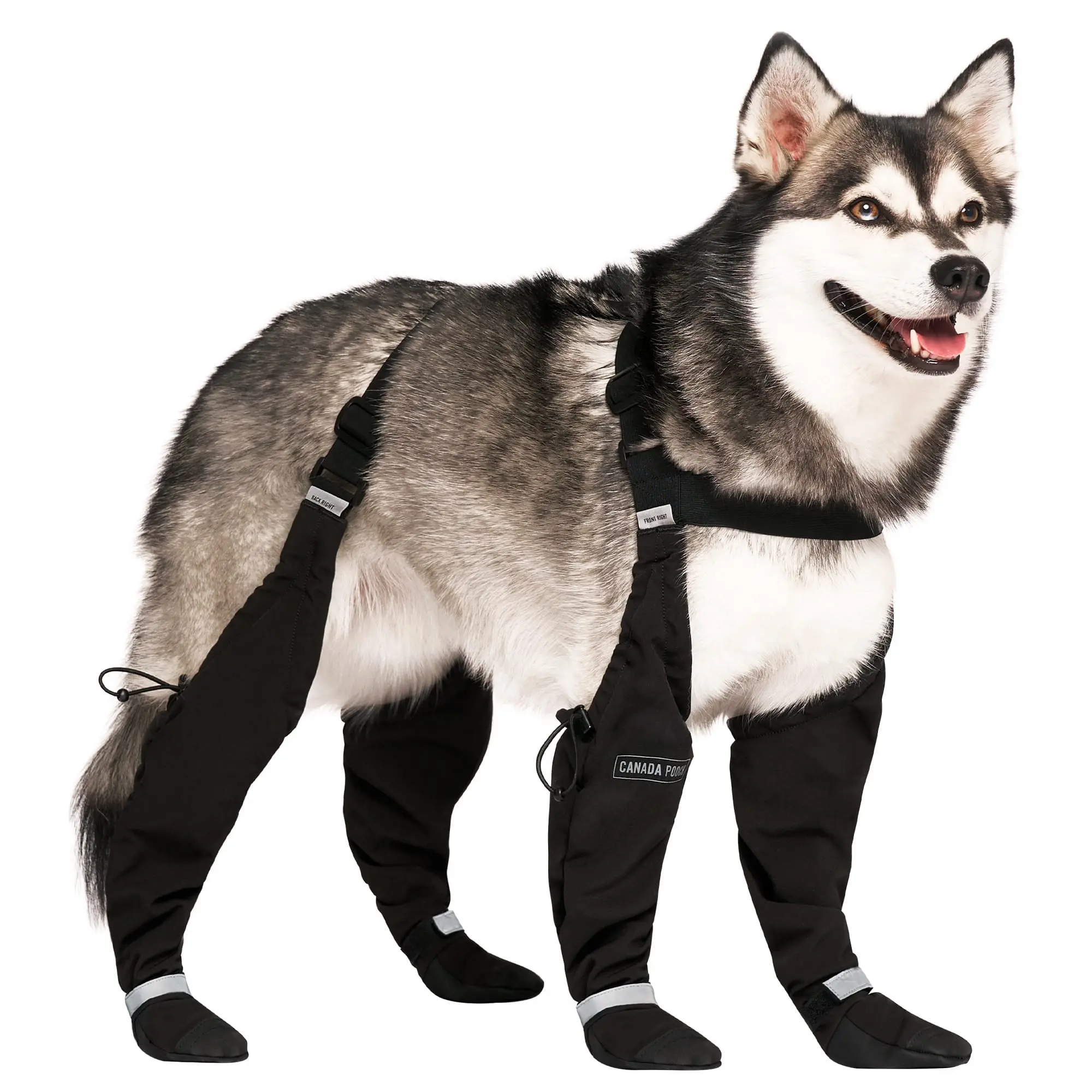 Canada Pooch Short Suspender Boots for Dogs