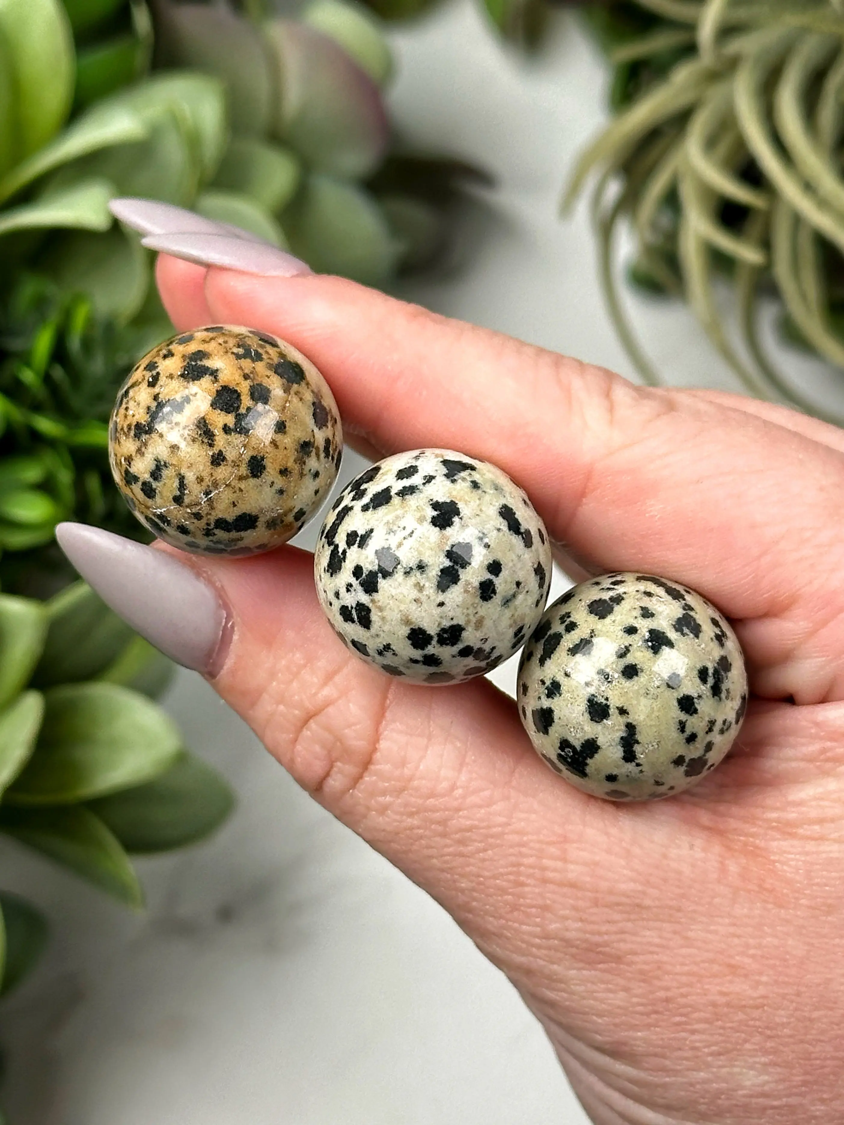 Dalmatian Jasper Mini Spheres - Root Chakra - No. 34