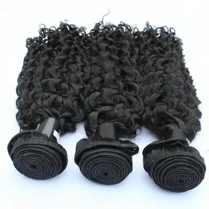 wholesale price Virgin Hair Vendors Raw Indian No shedding Curly human Hair