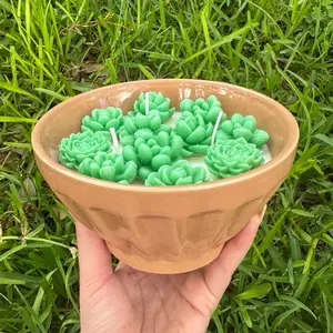 Succulent plant cactus candle