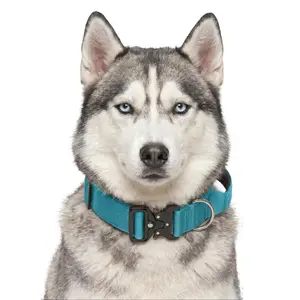 Blue Forest Green Pink Heavy Duty Polyester Dog Collar with Metal Buckle, Durable Padded Training Collar for Husky Medium Large Dogs, Adjustable Pet Walking Gear
