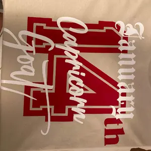 The Biggest Capricorn T-Shirt - Casual Crewneck Top with Bold Lettering Design - Round Neck, Man, Menswear, Tshirt, Short, Streetwear