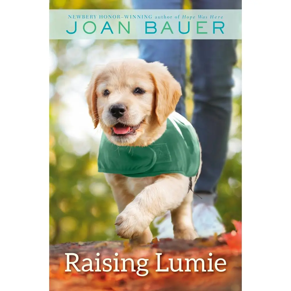 USED Book - Raising Lumie by Bauer, Joan (Paperback) - english