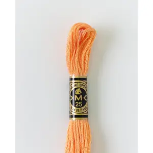 DMC Embroidery Stranded Thread - Six-Strand Embroidery Floss - 3825 - Muted Apricot