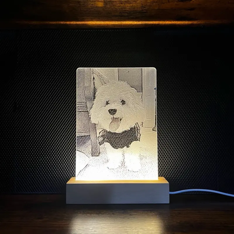 Custom Light-Up Picture Frame: Personalized Frame For Family Dog Cat Pets: Memorialize Custom Frame: Modern Wooden Picture Frame