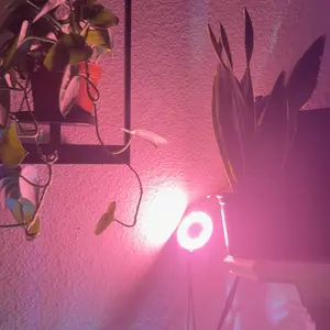 USB-Powered LED Full-Spectrum Indoor Plant Grow Light, Height-Adjustable Lamp with Dimmable Brightness and 4/8/12-Hour Timer#TOP PICKS