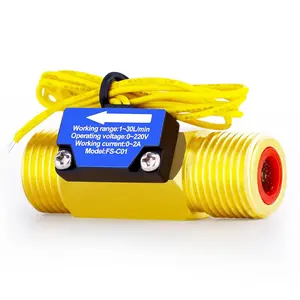 DIGITEN FS-C01 G1/2" BSP Male Thread Brass Water Flow Switch with Filter 1-30L/min, 0-2A/ 0-220V(AC or DC)