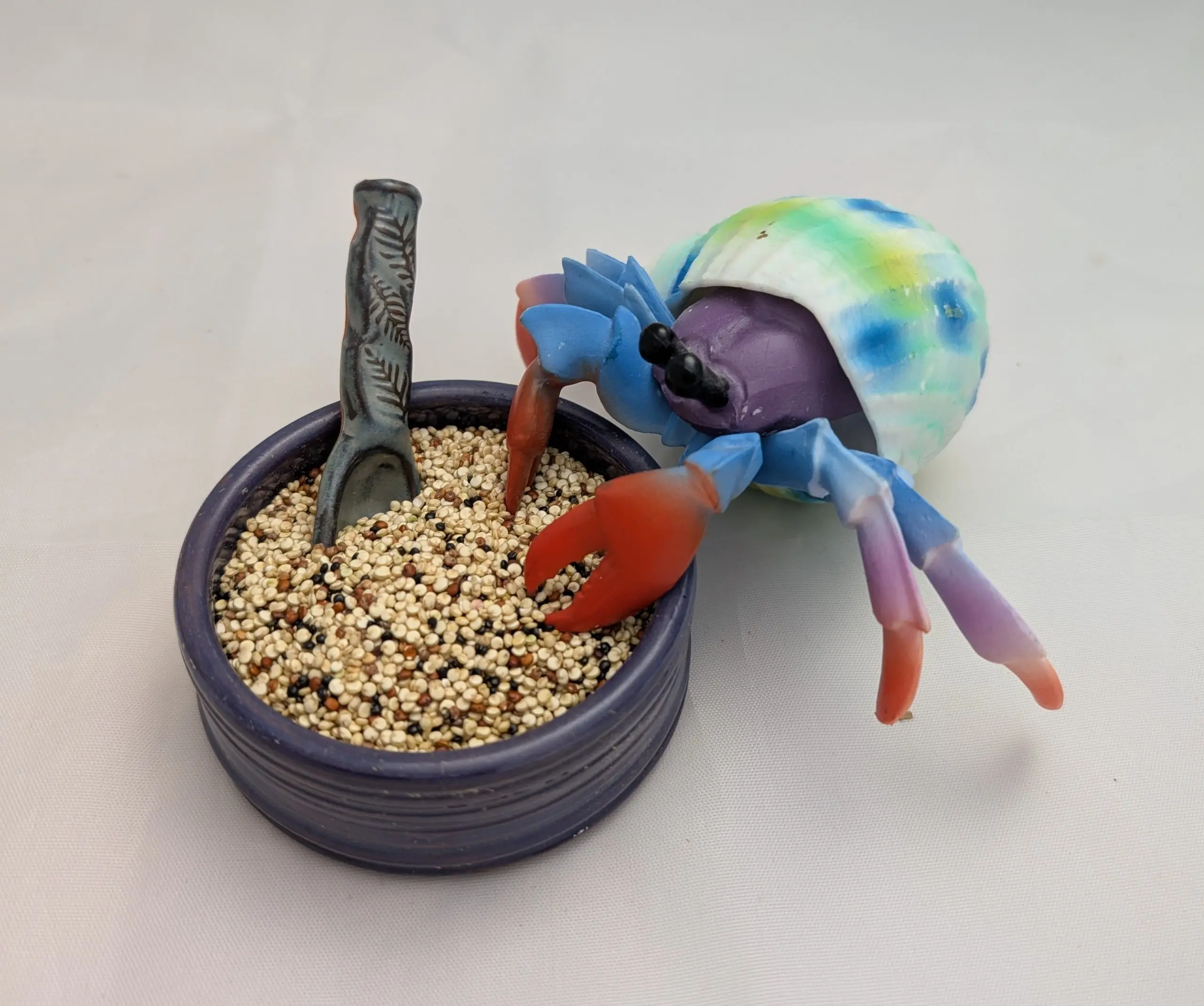 Quinoa for Hermit Crabs | Complete Protein Plant Staple