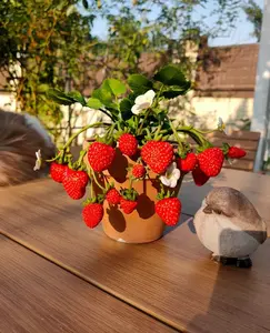 800-1000 Seeds: From Seeds to Fruits, Discover the Secrets of Fast Strawberry Growth!