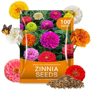 Zinnia Flower Seeds – California Giants Mix, Suitable for Home Garden Planting 100