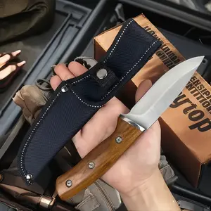 Various knives for outdoor camping, including handheld meat knives, kitchen knives, small meat cutting knives, fishing knives, fish filleting knives and fixed-blade knives, all made of stainless steel.