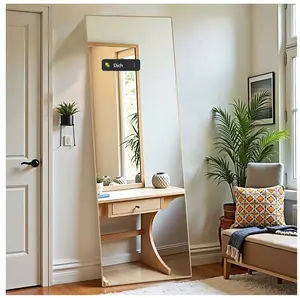 64"x21" Full Length Mirror Standing Rectangle Floor Mirrors Body Dressing Wall-Mounted Mirror, Gold