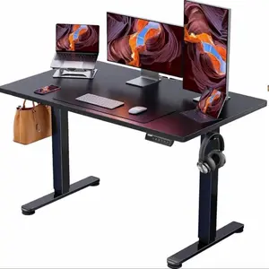 HUANUO ERGEAR Electric Height Adjustable Standing Desk, 48'' x 24" Stand up Desk, Load Up to 176 LBS Modern Computer Desk, Ergonomic Desk with Memory Preset, Charging Dock Not Included desk modern, adjustable desk large space