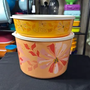 Tupperware Ilumina Container Set