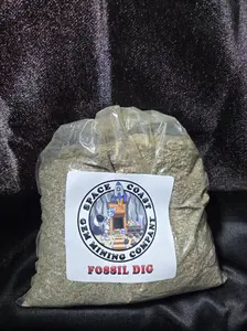 Fossil Dig 5 lbs mining rough