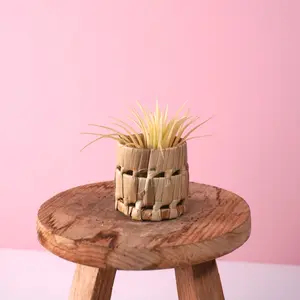 Air Plant Basket Display
