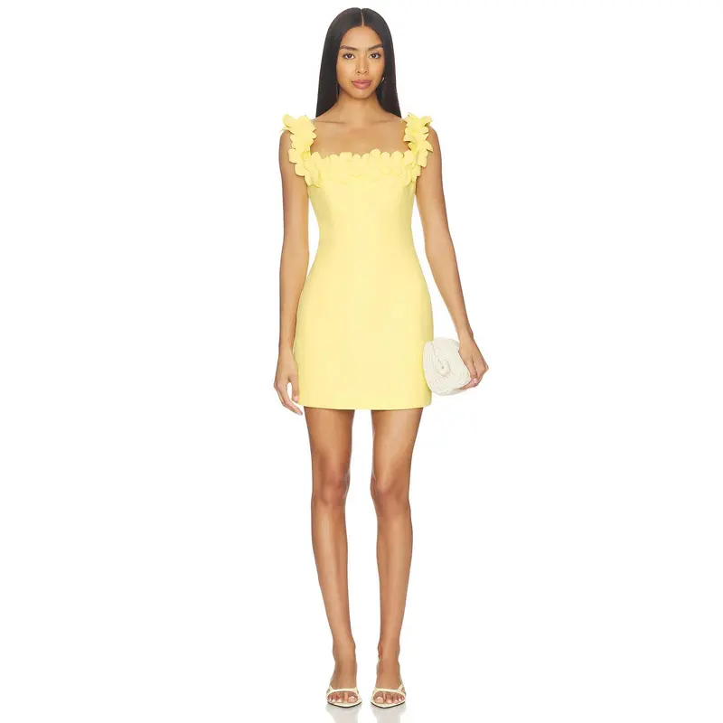 winona mini dress ASHA MINI DRESS – W I N O N A