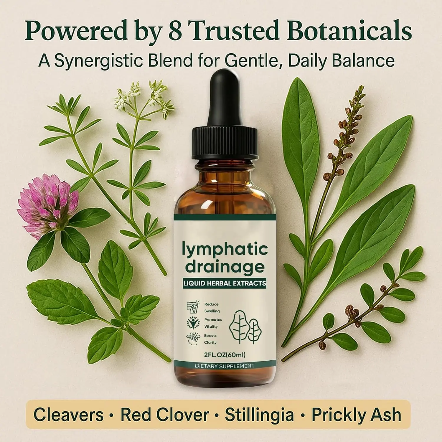 Botanical Herbal Drops, Liquid Botanical Blend with Cleavers, Red Clover & Stillingia Root, Alcohol-Free Vegan & Non-GMO Formula, 2 Fl Oz, 2 Pack