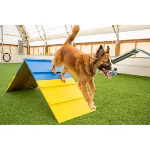 Better Sporting Dogs Dog Agility A-Frame – Arrives Fully Assembled