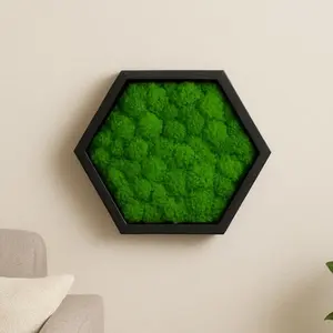 Hexagon Moss Wall Hanger - Black Frame, Green Moss, Decorative Wall Art, Elegant Design, Easy Installation, Versatile Home & Office Decor - Moss not included
