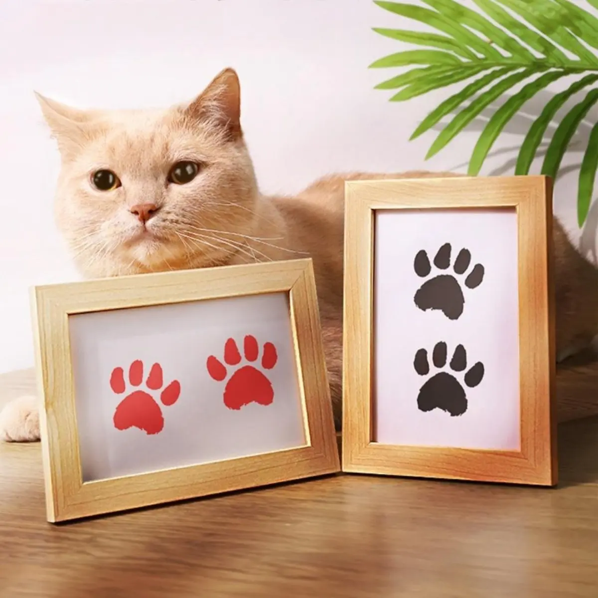 DIY Ink Pads Photo Frame Handprint Pet Pawprint Keepsake Kit Picture Frame Premium Wooden Photo Frame Dog or Cat Paw Print Gift Care