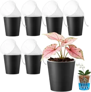 6 Pack of 6in Plastic Cachepot with 6 inch Clear nusery Pot - self Watering Indoor Planter with Drainage for Root Visibility,semi Hydro pots for repotting Monstera,Orchids,Aroid,Black