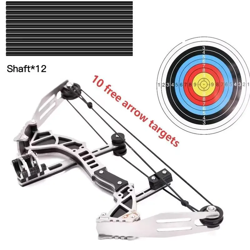 Beginner-Friendly Portable 9.5 Inch Mini Archery Kit, Durable Aluminum Alloy, Adjustable Draw Length, Outdoor Practice Set with 12 Arrows, Boy Gift, Complete Set
