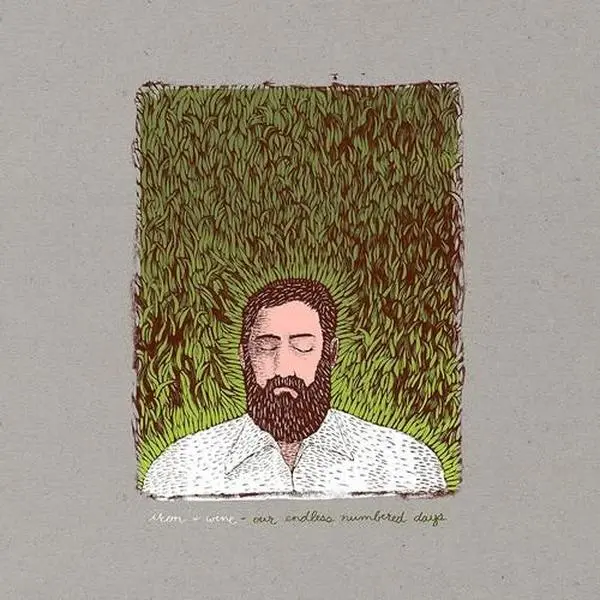 IRON & WINE - OUR ENDLESS NUMBERED DAYS Vinyl LP