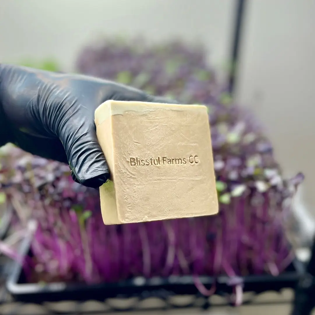Blissful Soap - Coffee & French Clay