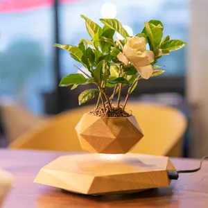 MOOCCI Magnetic Levitation Maglev Floating Planter Wood Grain Minimalist Geometric Design Levitating Flower Pot Desk Home Decor Unique Gift for Plant Lovers & Mini Plants