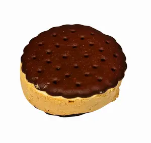 REESE'S SPACE SANDWICH (freeze dried Reese's ice cream sandwich)