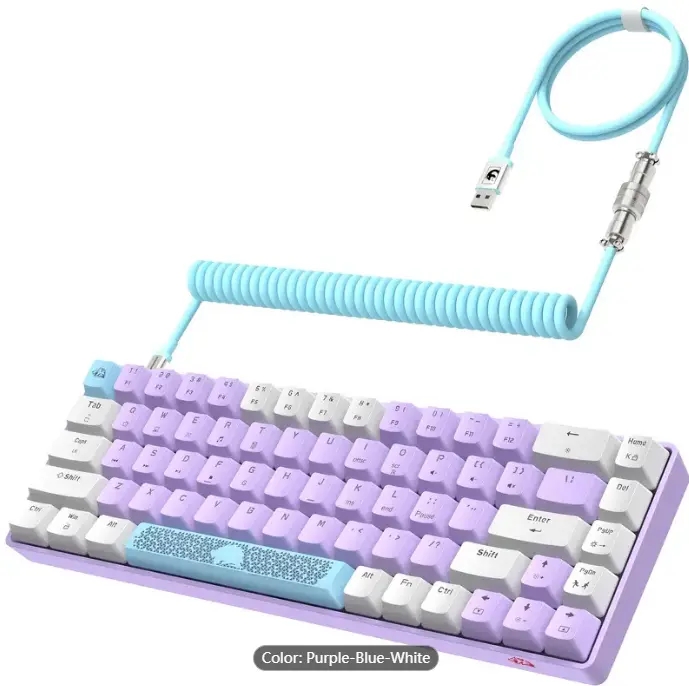 60% Mechanical Gaming Keyboard,68 Keys Compact Layout Mini Wired Keyboard,18 Chroma RGB Backlit,Blue Switch,Full Anti-ghosting,Pro Custom Coiled USB-C Cable,for PC,Mac,PS4,XBOX-Lavender