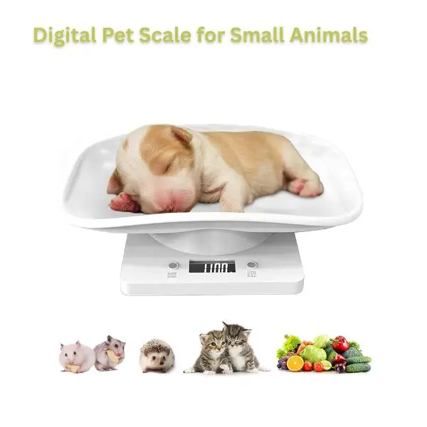 Digital Pet Scale for Small Animals, 33lb/15kg Pet Weight Scale with 1g Precision, LED Display, Puppy & Kitten Scale, Reptile, Guinea Pig & Rabbit Scale with Tare Function for Home & Vet