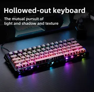 60% RGB Mechanical Keyboard – Hot-Swappable, USB-C, Hollow Case with Side Glow