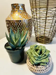 Crotchet potted plant