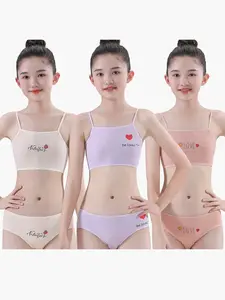 2026 New 3-Piece Girls' Underwear Set, Development Stage Girl Bra, Student Inner Wear Elastic Waist Cami Tank Top, Comfortable and Stylish