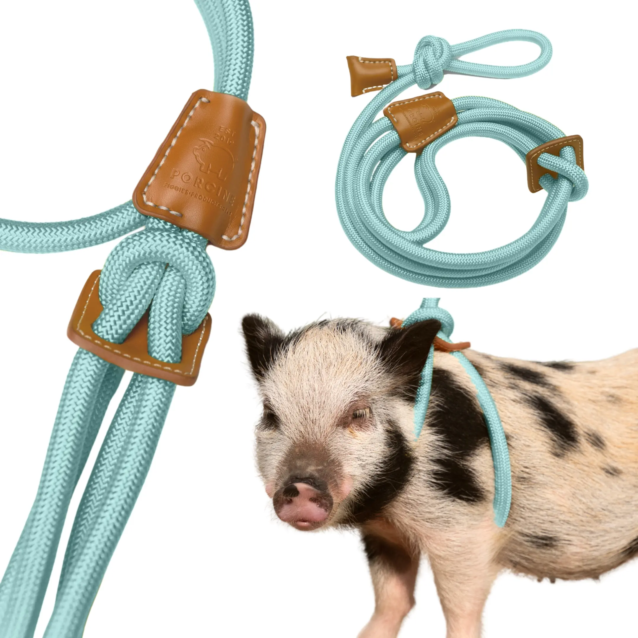 PORCINE Easy-On Pig Harness + Leash - Nylon Rope with Faux Leather Details for Mini Pigs - Fast & Frustration-Free Fit - Soft Yet Strong Design - Trusted by Pig Parents (SM | Eggshell Blue)