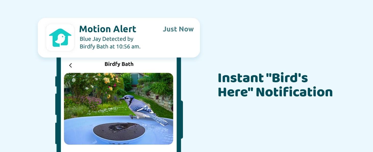 Birdfy Smart Bird Bath with Camera Solar Powered & Fountain, Dual-Lens Camera for Wildbird Watching, Auto Capture Bird Videos & Motion Detection, SummerVibes, Petlovers Birdfy Smart Bird Bath with Camera Solar Powered & Fountain, Dual-Lens Camera for Wildbird Watching, Auto Capture Bird Videos & Motion Detection, SummerVibes, Petlovers