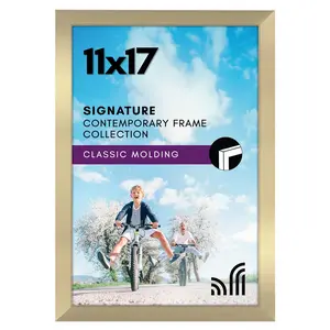 Americanflat Metallic Picture Frame 11x17 Signature Contemporary Glass Front Classic Molding for Wall or Tabletop Use Includes Hardware and Easel