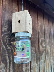 Billy Bob Carpenter Bee Trap