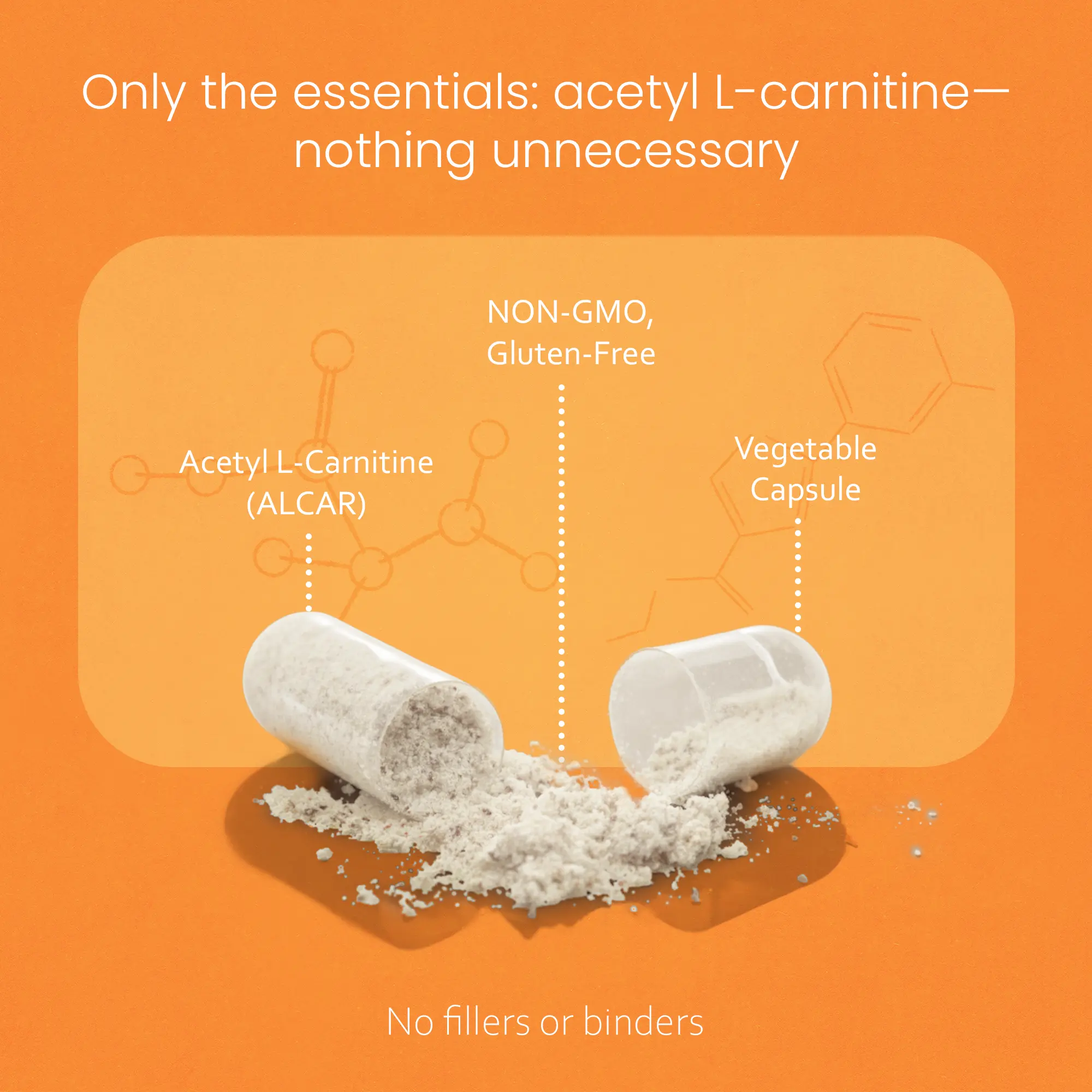 NaturaLife Labs Acetyl L-Carnitine (ALCAR) 1500 mg per Serving – 100  Capsules – Non-GMO, Gluten-Free, Vegan